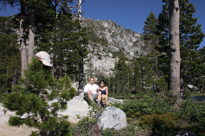 horse tail top 4