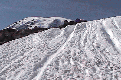 xMuir8.gif, 10 kB