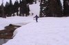 seattlepark.jpg
