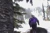 seattleparkfalls3.jpg
