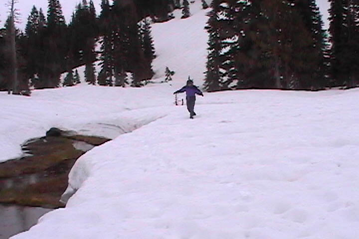 seattlepark.jpg, 45 kB