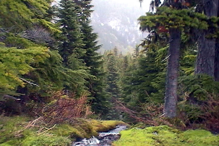 seattleparkfalls.jpg, 89 kB
