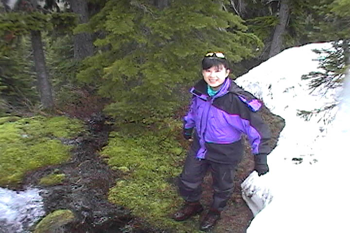seattleparkfalls1.jpg, 71 kB