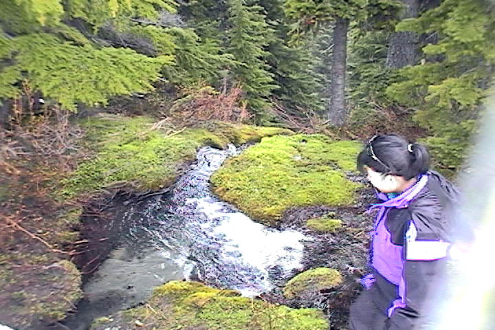 seattleparkfalls2.jpg, 107 kB